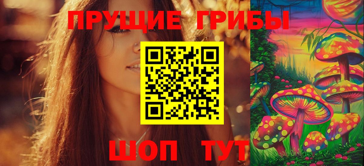Пугачёв  Галлюциногенные грибы Magic Shrooms  Вход с VPN 